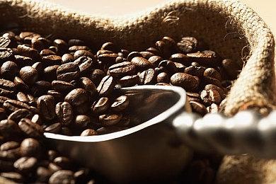 开放世界RPG《王者荣耀·世界》正式公布 预告首曝